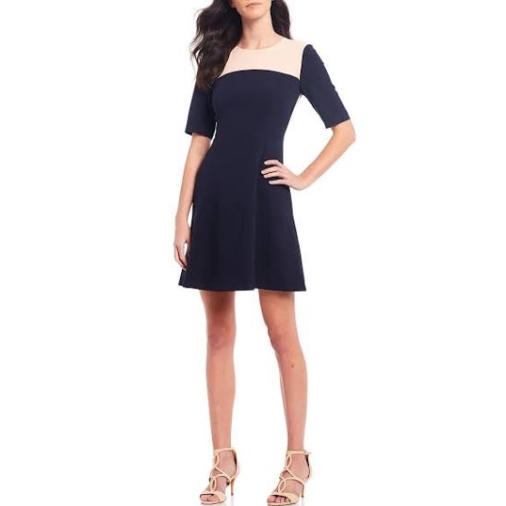 Vince Camuto | Colorblock Fit & Flare Dress